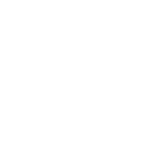 BMF-MissionActive-White BMF-MissionActive-White