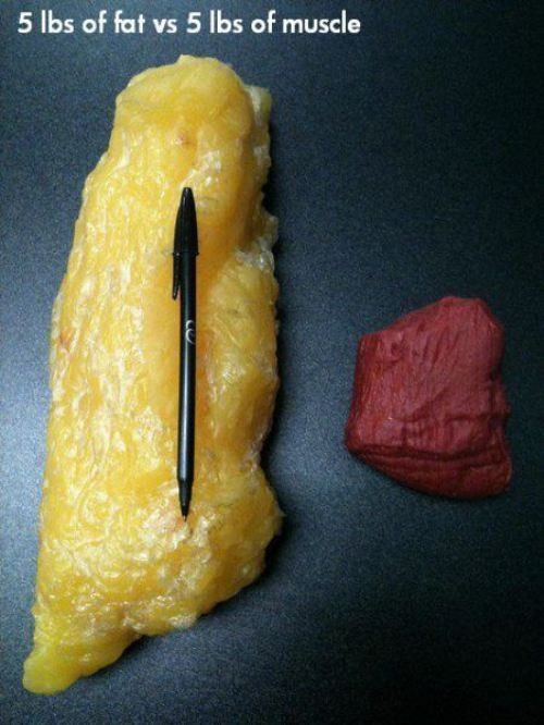 It's why you work out to lose the fat. Muscle is better than fat anyday